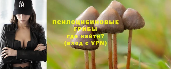 ECSTASY Алексин