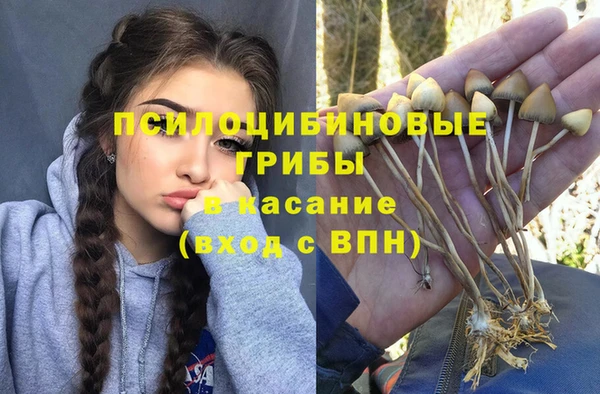 ECSTASY Алексин